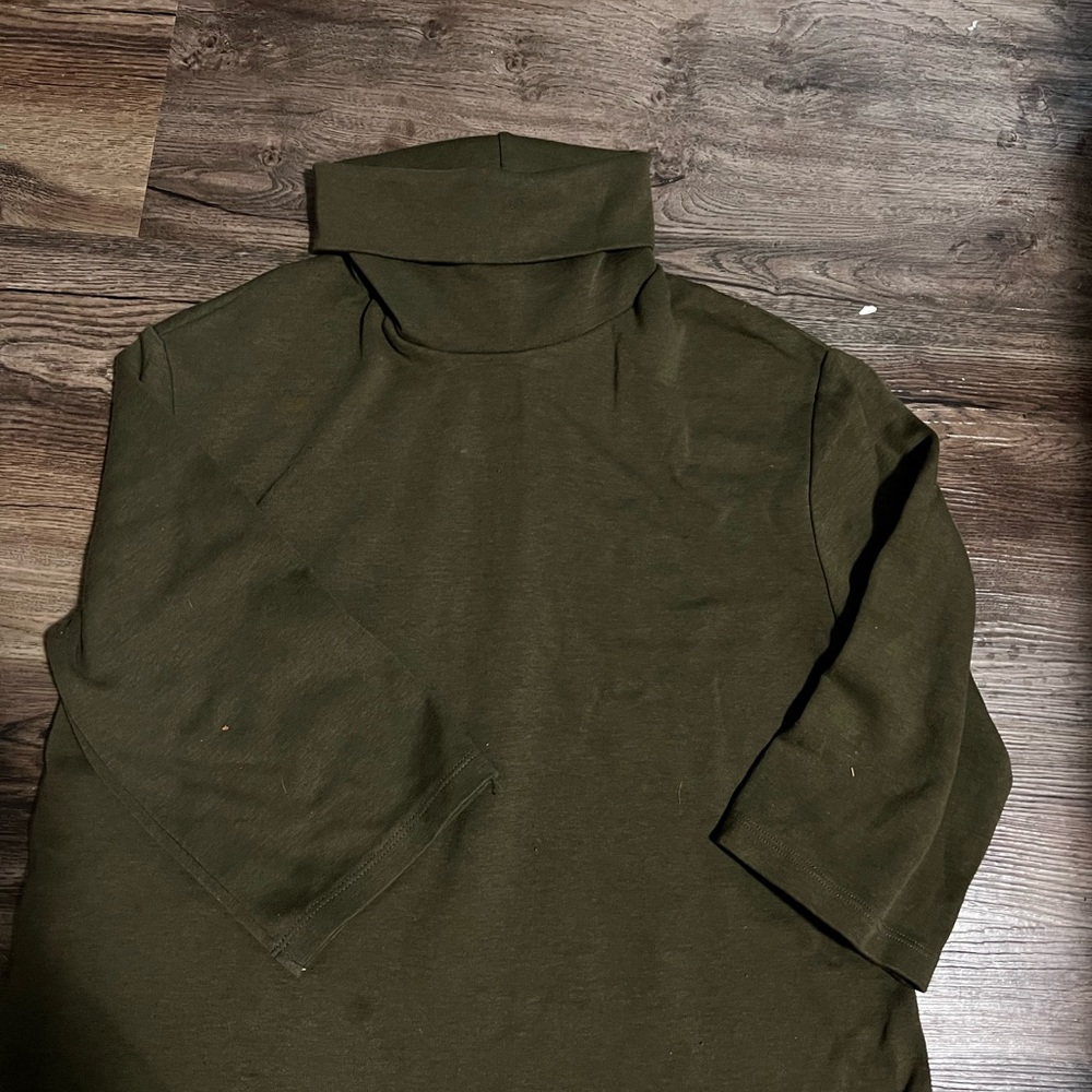 Zara turtle dress